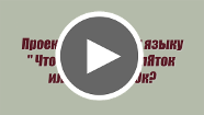 video-preview